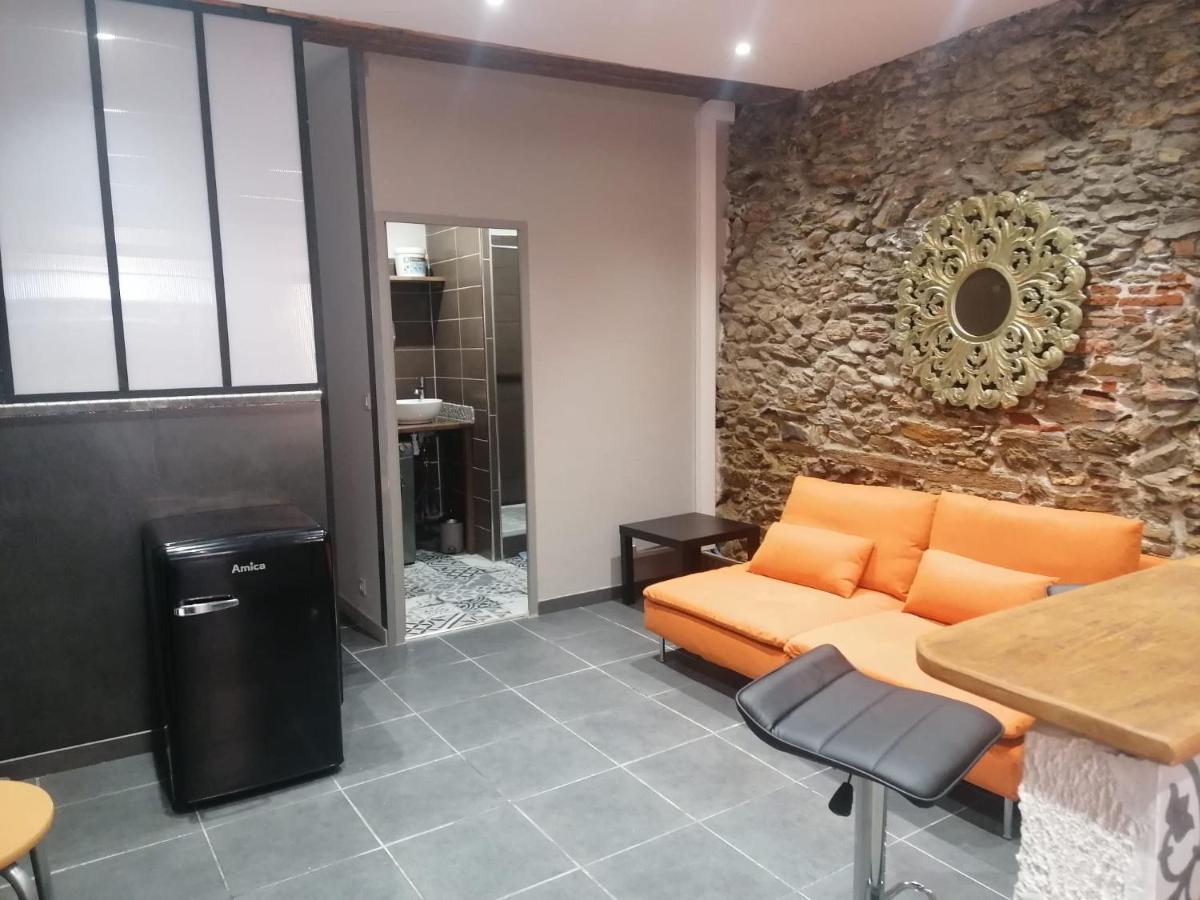 Du Bonheur Et Du Bon Air A Banyuls ! Apartment ภายนอก รูปภาพ